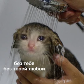 Стикер 84 из набора Это конец - Мемы
