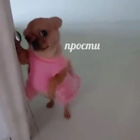 Стикер 86 из набора Это конец - Мемы
