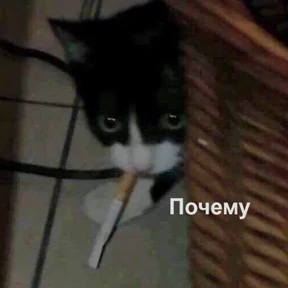 Стикер 89 из набора Это конец - Мемы