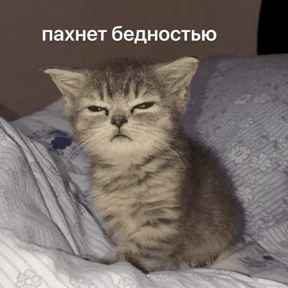 Стикер 96 из набора Это конец - Мемы