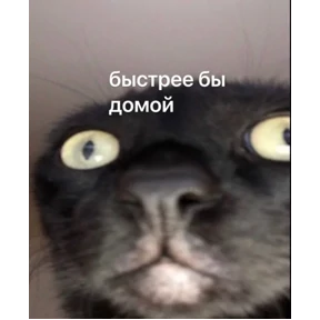 Стикер 97 из набора Это конец - Мемы