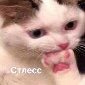 Стикер 98 из набора Это конец - Мемы