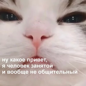 Стикер 99 из набора Это конец - Мемы
