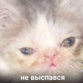 Стикер 100 из набора Это конец - Мемы