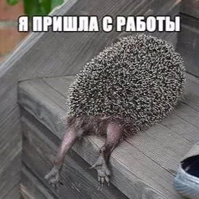 Стикер 7 из набора Ежик