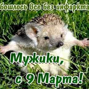 Стикер 12 из набора Ежик