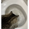 Обложка набора Федя