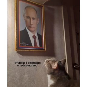 Стикер 17 из набора Фсё