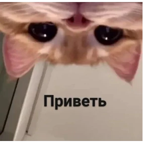 Стикер 3 из набора Фсё