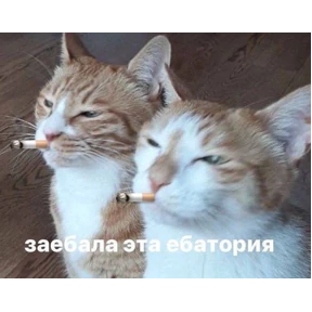 Стикер 34 из набора Фсё