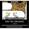 Обложка набора Goida Z Zov