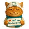 Обложка набора ГорКот
