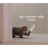 Обложка набора Хаюшки