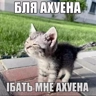 Обложка набора hehe