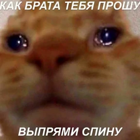 Стикер 16 из набора Hirumo_pack