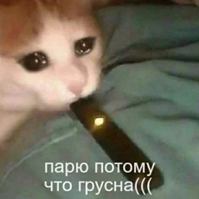 Стикер 22 из набора Hirumo_pack