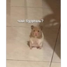 Обложка набора Хомяки
