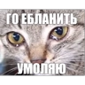 Обложка набора Хз что еще написать