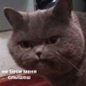 Обложка набора Именно они