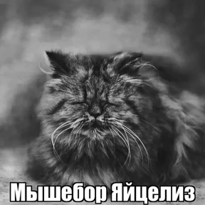 Стикер 24 из набора Иван Чернозём
