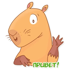 Стикер из набора Капи Барри