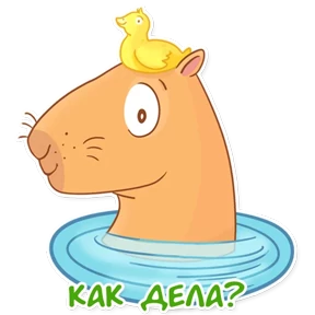 Стикер 20 из набора Капи Барри