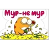 Обложка набора Кэт 3