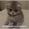Обложка набора Кис кис
