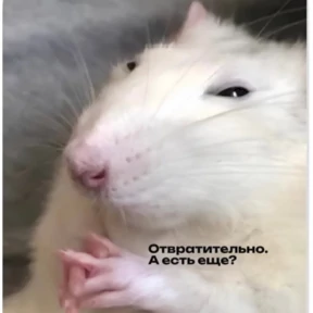 Стикер из набора Король артур