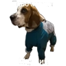 Обложка набора Коростелкин Локи Хантерович