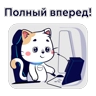 Обложка набора Кот Манеж