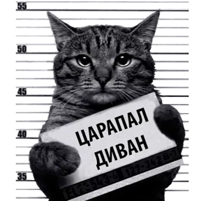 Стикер из набора Кот-рецидивист