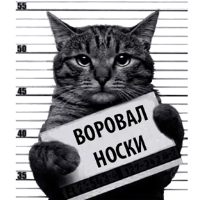 Стикер 7 из набора Кот-рецидивист
