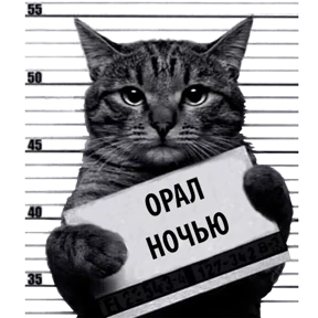 Стикер 8 из набора Кот-рецидивист