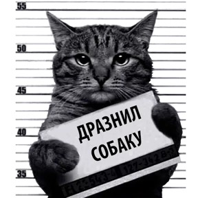 Стикер 11 из набора Кот-рецидивист