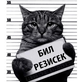 Стикер 12 из набора Кот-рецидивист