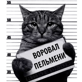 Стикер 13 из набора Кот-рецидивист