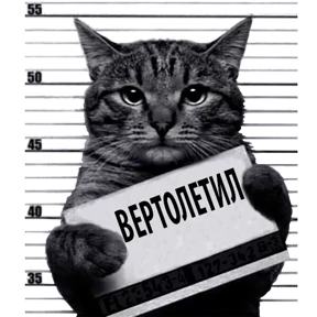 Стикер 16 из набора Кот-рецидивист