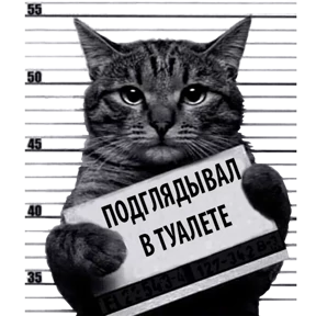 Стикер 19 из набора Кот-рецидивист