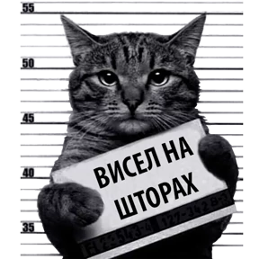 Стикер 20 из набора Кот-рецидивист