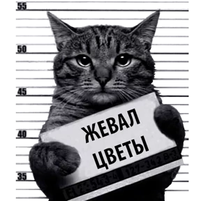 Стикер 21 из набора Кот-рецидивист