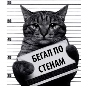 Стикер 22 из набора Кот-рецидивист