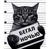 Обложка набора Кот-рецидивист