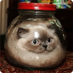 Стикер 43 из набора Котаны-2