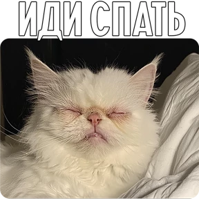 Стикер 53 из набора Котаны-2