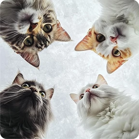 Стикер из набора Котаны