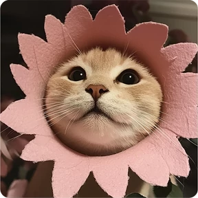 Стикер 9 из набора Котаны