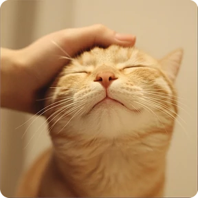 Стикер 11 из набора Котаны