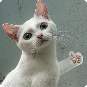 Стикер 14 из набора Котаны