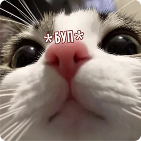 Стикер 16 из набора Котаны
